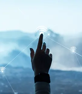 Freemind YG - yazılım ve dijital dönüşüm danışmanlığı